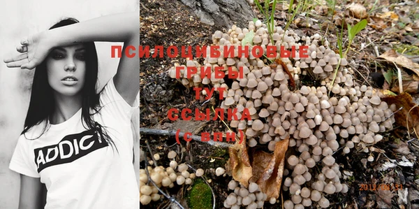 твердый Алзамай
