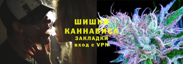 твердый Алзамай