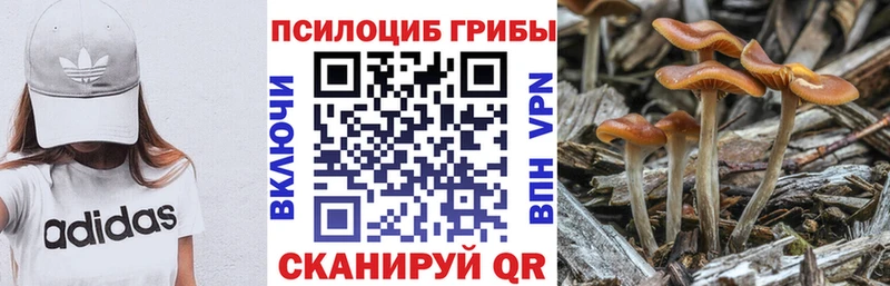 ссылка на мегу вход Тетюши Псилоцибиновые грибы Psilocybe